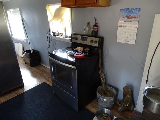 1163 Fee Hollow Ter, House other with 4 bedrooms, 3 bathrooms and null parking in Yellville AR | Image 13