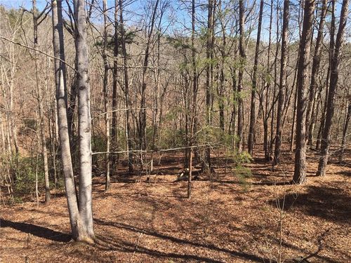 LOT 10 Olivia Ln, Ball Ground, GA, 30107 | Card Image