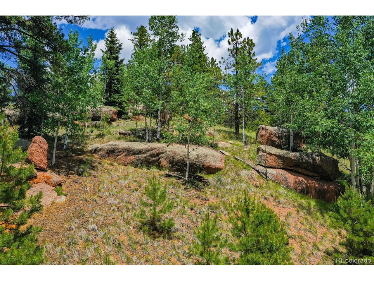 Land in Florissant 4