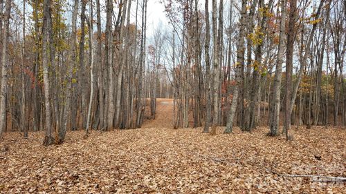 1056 Stephens Trail Rd, Sandy Ridge, NC, 27046 | Card Image