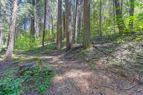3005 Amber Trl, Pollock Pines, CA, 95726-9208 | Card Image