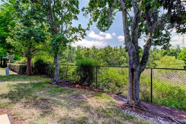 1747 Sedgefield Ct, Townhouse with 2 bedrooms, 3 bathrooms and null parking in ODESSA FL | Image 37