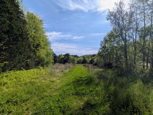 00 Ladd Springs Rd Se, Old Fort, TN, 37362 | Card Image