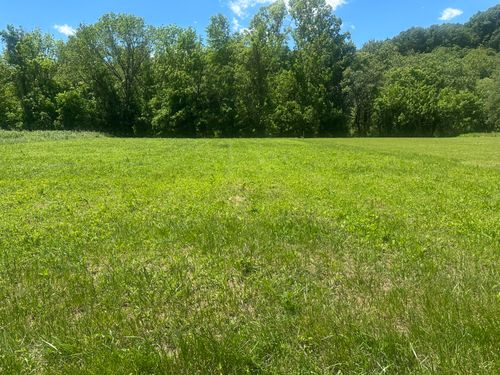 11 Monkey Bluff Rd, Burkesville, KY, 42717 | Card Image
