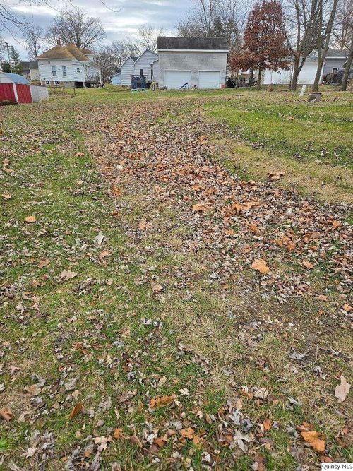 Main Street Rng/Blk 8 Twp 46, Barry, IL, 62312 | Card Image