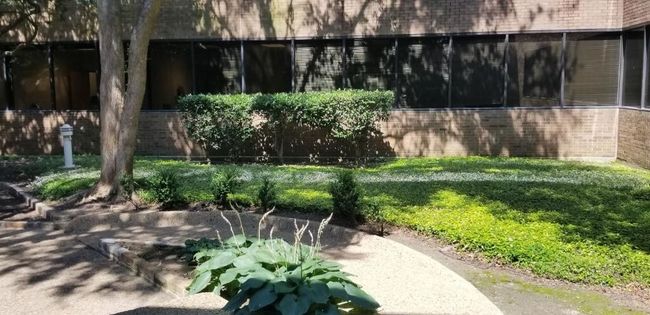 View of grassy yard | Image 10