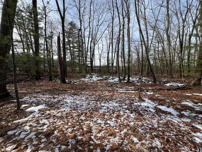 2 Acre Parcel with Lake Rights and Views | Image 15