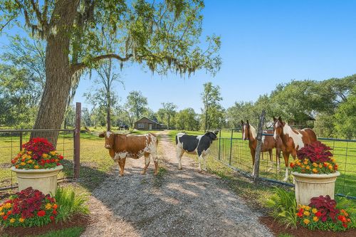 3476 County Road 2326, Dayton, TX, 77535-8251 | Card Image