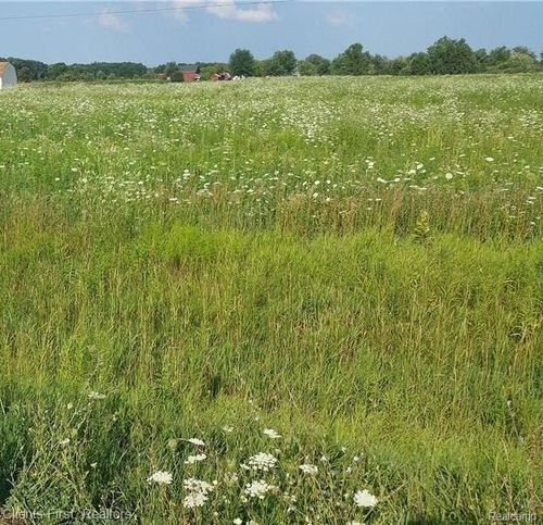 0 Capac Rd, Capac, MI, 48014 | Card Image