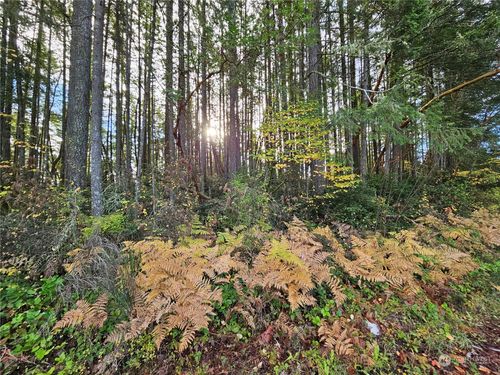 0 Ne Larson Lake Rd, Belfair, WA, 98528 | Card Image