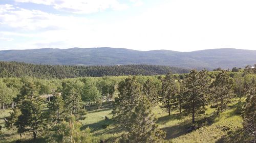 153 Beaver Loop, Angel Fire, NM, 87710 | Card Image