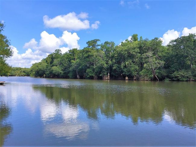 Chiopla River | Image 12