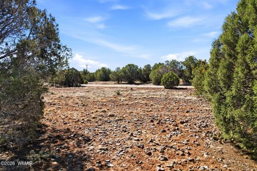 8396 Bear Meadow Dr, Show Low, AZ, 85901-7541 | Card Image