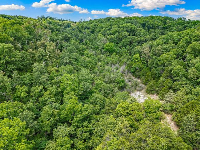 1106 Boone Hollow Rd, Home with 0 bedrooms, 0 bathrooms and null parking in Powell MO | Image 16