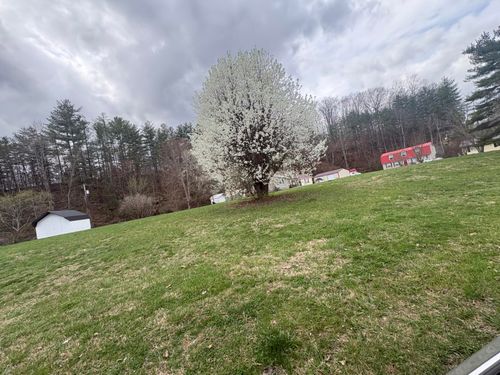 LOT 33 Stephen Trace Rd, Barbourville, KY, 40906-7458 | Card Image