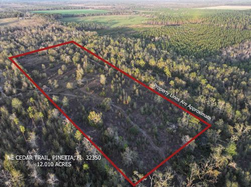 Vacant Ne Cedar Trail, Pinetta (Madison County), FL, 32350 | Card Image