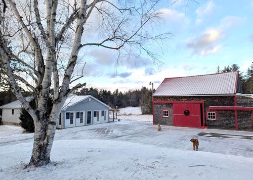 252 Ox Cove Road, Pembroke, ME, 04666 | Card Image