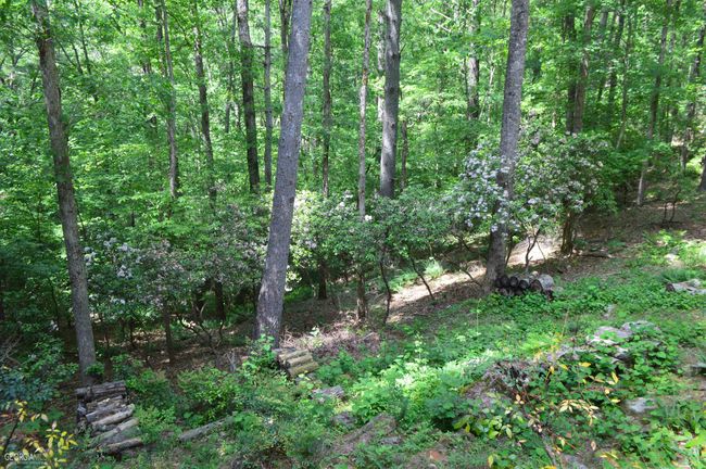445 White Rapids Dr, House other with 2 bedrooms, 1 bathrooms and 4 parking in Demorest GA | Image 13