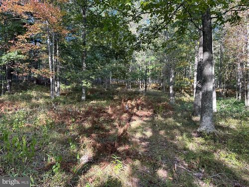 6000 Rolling Stone Rd, Frenchville, PA, 16836 | Card Image