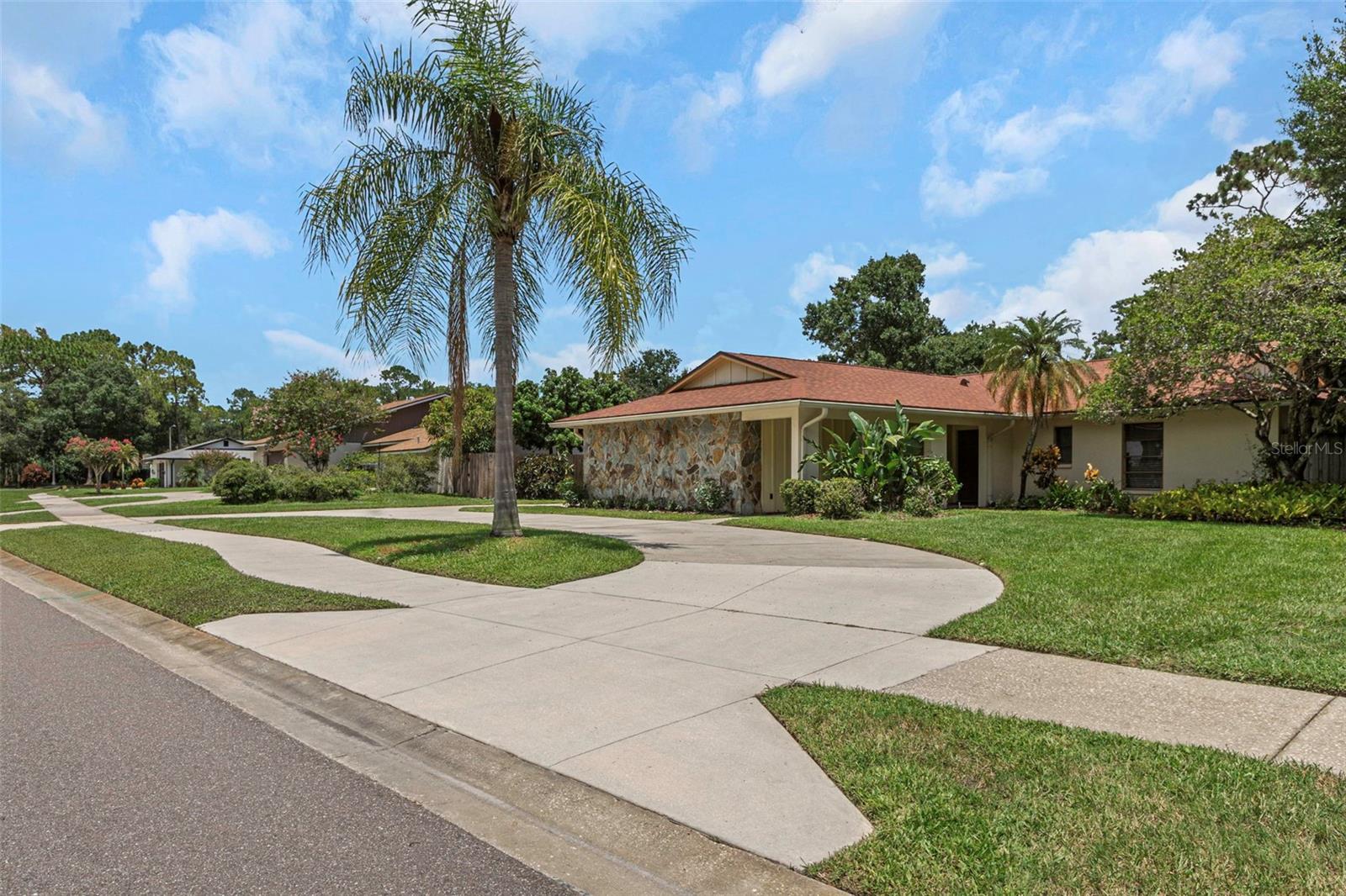 Jennifer Ter, Palm Harbor, FL 34685