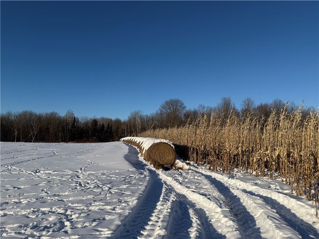 0000 Trucker Ln, Home with 0 bedrooms, 0 bathrooms and null parking in Gilman WI | Image 10