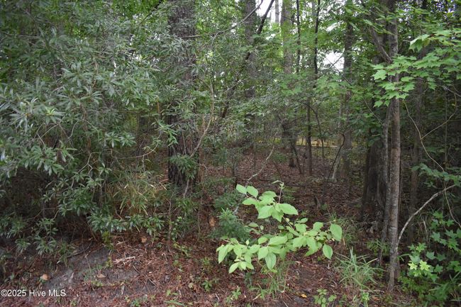 45 Evergreen, Home with 0 bedrooms, 0 bathrooms and null parking in Blounts Creek NC | Image 11