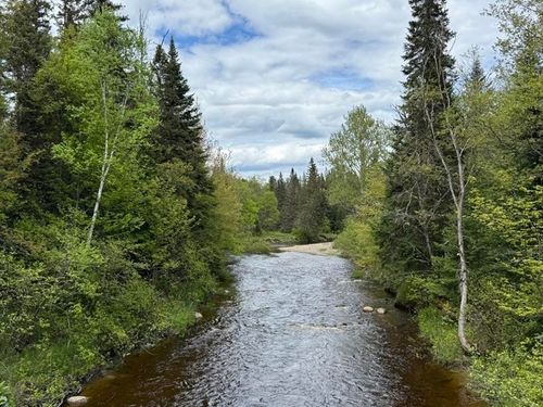 0 Stearns Brook Rd, Milan, NH, 03588 | Card Image