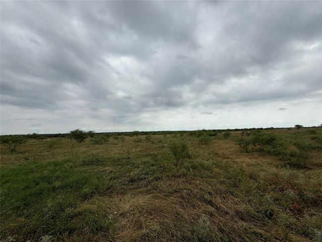0000 Turtle Hole Rd, Home with 0 bedrooms, 0 bathrooms and null parking in Graham TX | Image 28