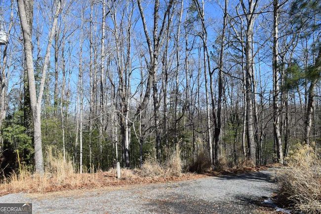 EM3421 - LT 3421 Hart Ct, Home with 0 bedrooms, 0 bathrooms and null parking in ELLIJAY GA | Image 7