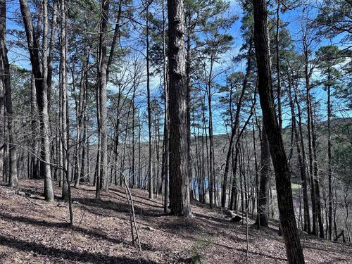 42 Badajoz Way, Hot Springs Village, AR, 71909-2901 | Card Image