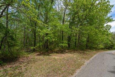 0 Long Mountain Rd, Home with 0 bedrooms, 0 bathrooms and null parking in Mc Minnville TN | Image 2