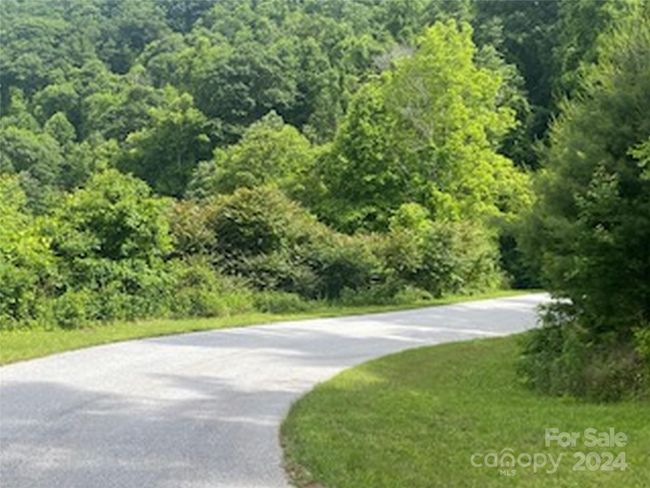 11 - 99999 Curtis Creek Rd, Home with 0 bedrooms, 0 bathrooms and null parking in Candler NC | Image 11