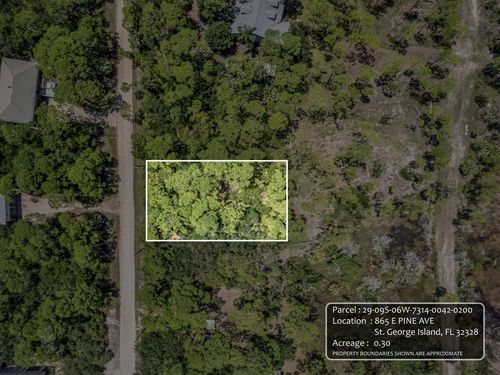 865 E Pine Ave, Saint George Island, FL, 32328-2902 | Card Image