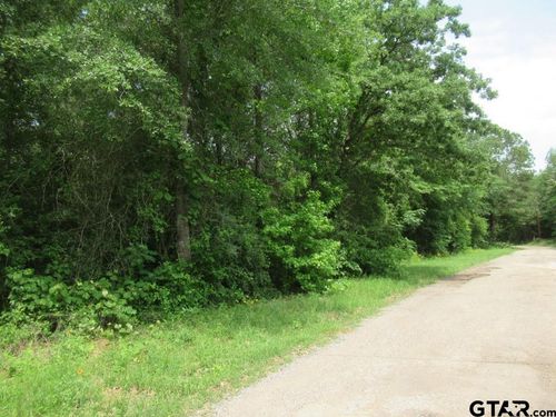 3.54 AC An County Road 352, Palestine, TX, 75803 | Card Image