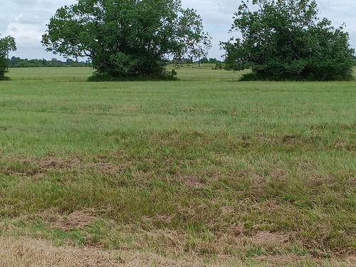 00 Brahman Trl, Angleton, TX, 77515 | Card Image