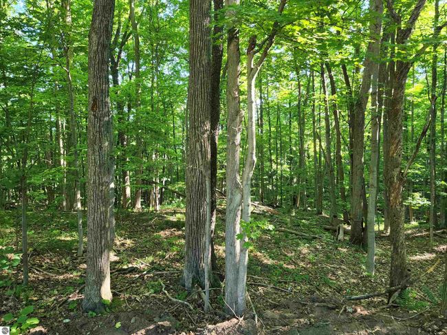 103 Adams Rd, Home with 0 bedrooms, 0 bathrooms and null parking in Frankfort MI | Image 19