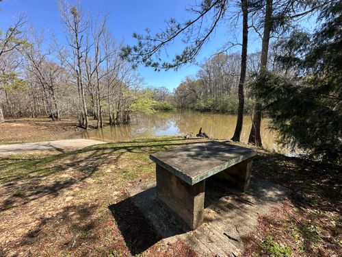 4 Coon Bottom Rd, Ponce De Leon, FL, 32455 | Card Image