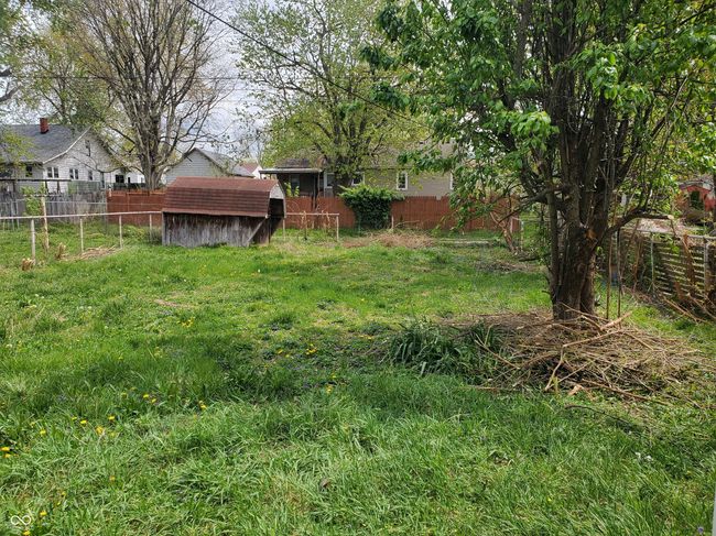 Back yard | Image 8