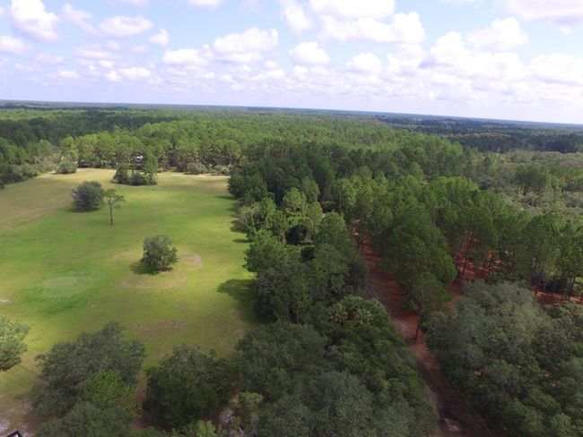 Beautiful Pasture | Image 5
