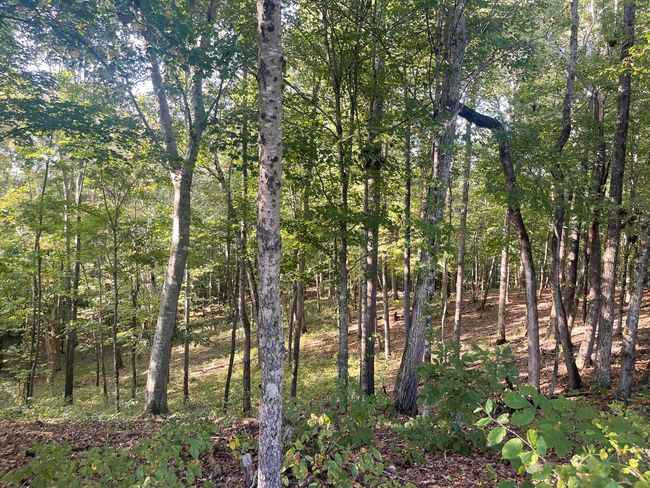 450 County Road 28, House other with 4 bedrooms, 3 bathrooms and null parking in Calhoun TN | Image 107