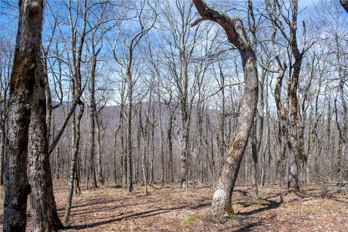 Lot #100 Elk Creek Mountain Parkway Parkway, Todd, NC, 28684 | Card Image