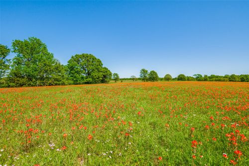 Lot 44 Paradise Cv, Streetman, TX, 75859-7085 | Card Image
