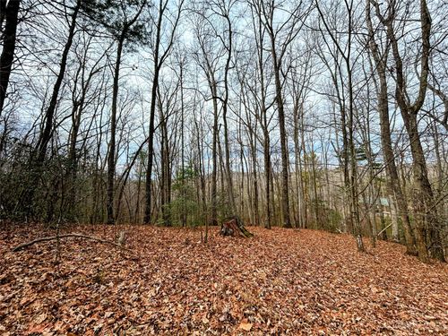 Lot 11 Rhododendron Dr, Saluda, NC, 28773 | Card Image