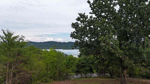 56 Whispering Ct, Bean Station, TN, 37708 | Card Image