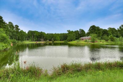 3 Neighborhood Stocked Ponds | Image 3