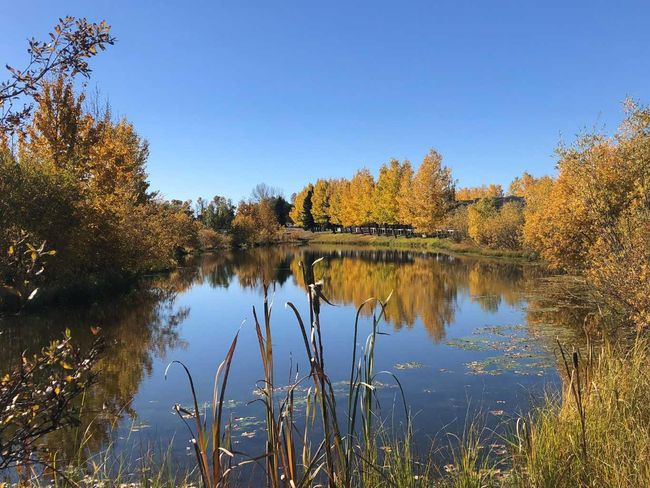 7039 - 35468 Range Road 30, House other with 3 bedrooms, 3 bathrooms and 4 parking in Red Deer County AB | Image 35