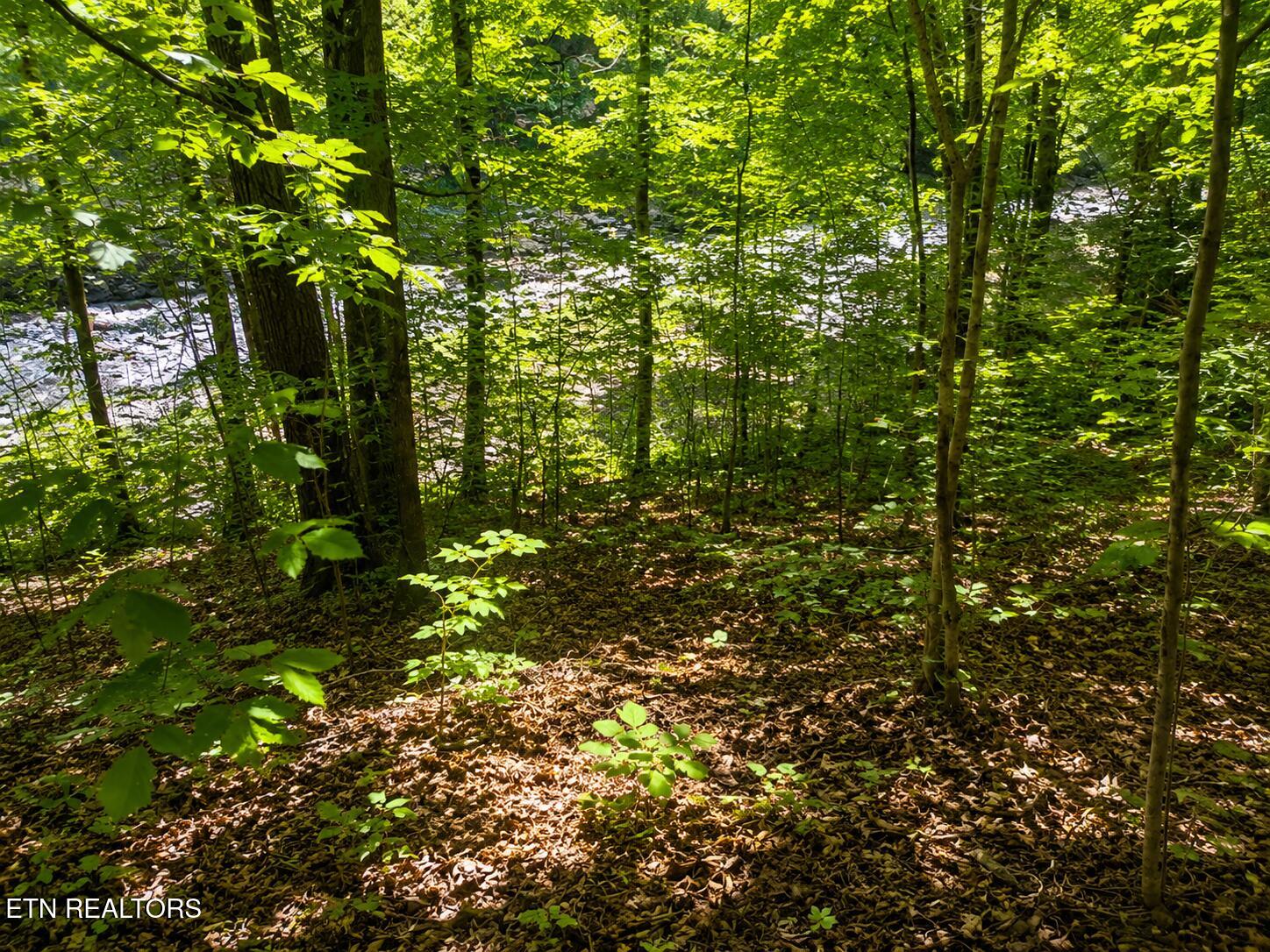 Land in Sevierville 5