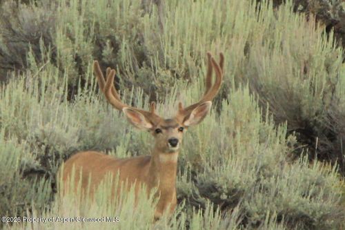 TBD E Highway 40, Craig, CO, 81625 | Card Image