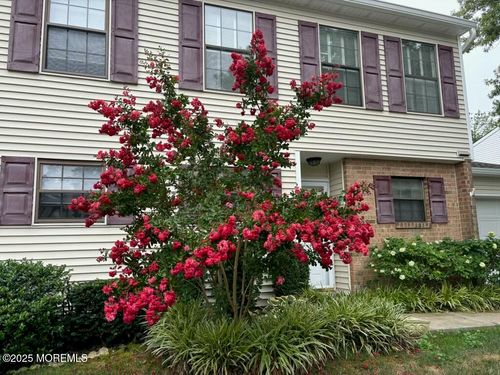 35 Apple Dr, Spring Lake, NJ, 07762-2177 | Card Image
