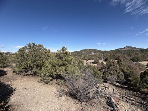 91 King Place, Cotopaxi, CO, 81223 | Card Image